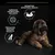Text: Improves microflora balance, Promotes intestinal health, Promotes healthy growth. Large brown puppy lying down beside icons and text on black background.