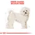 Σχέδιο σκύλου με κείμενο BREED RANGE: BICHON FRISE. Δείχνει τη ράτσα Μπισόν Φριζέ με γραμμές μέτρησης γύρω από το σώμα.