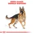 Κείμενο: BREED RANGE: GERMAN SHEPHERD. Εικόνα Γερμανικού Ποιμενικού σκύλου με σχεδιαστικές γραμμές φόντου.