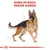 GAMA DE RAÇA: PASTOR ALEMÃO em letras vermelhas acima de ilustração de um cão pastor alemão com esboços técnicos ao fundo. Logótipo Royal Canin visível na parte inferior.