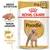 Pachet Royal Canin Adult Poodle, 85g x12. Text vizibil: Breed Nutrition, Textură adaptată, Sănătatea blănii. Imagine plic cu pudel și hrană umedă pe farfurie.