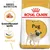 Royal Canin Pug Adult Royal Canin Pug Adult