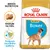Balení Royal Canin Puppy Boxer, nápisy: BREED NUTRITION, Granule na míru, Podpora imunitního systému. Obrázek granule a štěněte boxera. Balení Royal Canin Puppy Boxer, nápisy: BREED NUTRITION, Granule na míru, Podpora imunitního systému. Obrázek granule a štěněte boxera.