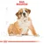 Illustratie van een zittende bulldog met bovenaan de tekst: 'Ras: Bulldog'. Royal Canin kroonlogo onderaan zichtbaar.