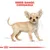 Illustration showing breed range for Chihuahua, with text 'Breed Range: Chihuahua' above the image.