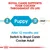Feeding guide: Use Royal Canin Puppy from 2 to 12 months, then switch to Royal Canin Cocker Adult after 12 months. Supports your cocker throughout its life.