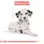 Royal Canin Dalmatian Puppy
