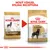 Porovnání starého a nového obalu krmiva Royal Canin Adult Rottweiler s textem: NOVÝ VZHLED, STEJNÁ RECEPTURA.