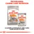 Royal Canin Coat Care Mini crocchette e bustina umido All Sizes, programma Canine Care Nutrition. Testo: La perfetta combinazione delle nostre ricette secche & umide.