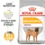 Royal Canin Dermacomfort Medium, formula a ridotto contenuto di allergeni. 91% dei proprietari si ritiene soddisfatto dopo 2 mesi. Immagine di un cane sulla confezione. Royal Canin Dermacomfort Medium, formula a ridotto contenuto di allergeni. 91% dei proprietari si ritiene soddisfatto dopo 2 mesi. Immagine di un cane sulla confezione.