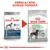 Imagine comparativă cu vechiul și noul ambalaj Royal Canin Digestive Care Maxi pentru câini, text vizibil: „AMBALAJ NOU, ACEEAȘI FORMULĂ”, 97% optimal stool quality.