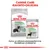Royal Canin Digestive Care Medium -kuivaruoka ja Digestive Care All Sizes 85 g -säilykeruoka koirille. Teksti: Canine Care -ravinto-ohjelma, täydellinen yhdistelmä.