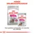 Royal Canin Exigent MINI tørfoder og Exigent ALL SIZES vådfoder til hunde. Tekst: Hunde Ernæringsprogram, Den perfekte kombination af vores tør- og vådfoder.