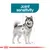 Diagram highlighting joint sensitivity in a dog, with text 'Joint sensitivity' and a marked area on the leg to indicate focus on joint health.