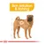 Diagram highlighting skin irritation and itching on a dog, with text 'Skin irritation & itching' above the affected area.