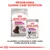 Royal Canin Relax Care Medium crocchette e Relax Care All Sizes umido per cani. Testo: Programma Canine Care Nutrition, la perfetta combinazione delle nostre ricette secche & umide.