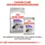 Royal Canin Sterilised Medium сухой корм и Sterilised All Sizes влажный корм. Программа питания Canine Care, сочетание сухого и влажного корма.