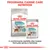 Royal Canin Urinary Care Mini ração seca e Royal Canin Urinary Care All Sizes 85 g alimento húmido para cães. Texto: Programa Canine Care Nutrition. A combinação perfeita das nossas fórmulas secas e húmidas.