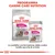 Royal Canin Exigent Mini crocchette e Exigent All Sizes umido per cani, programma Canine Care Nutrition. Testo: La perfetta combinazione delle nostre ricette secche & umide.