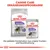 Royal Canin Sterilised Mini Trockenfutter und Sterilised All Sizes Feuchtnahrung. Perfekte Kombination für Hunde, reduziert Kalorien um -14%. Canine Care Ernährungsprogramm.