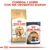 ROYAL CANIN Bengal Adult y ROYAL CANIN Intense Beauty Care. Texto: Combina 1 sobre con sus croquetas diarias.