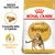 Royal Canin Adult Bengal, croquete feito à medida, desempenho digestivo. Imagem de embalagem com gato Bengal e texto Breed Nutrition.