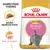 Royal Canin Kitten British Shorthair kattenvoer, rasspecifieke voeding, specifiek afgestemde brokken, spier- en botgroei. Verpakking met afbeelding van een grijze kitten. Royal Canin Kitten British Shorthair kattenvoer, rasspecifieke voeding, specifiek afgestemde brokken, spier- en botgroei. Verpakking met afbeelding van een grijze kitten.