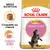 Royal Canin Kitten Maine Coon, croquette sur mesure, croissance longue et saine. Texte en anglais : Breed Nutrition. Image d’un chaton Maine Coon sur l’emballage.