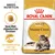 Royal Canin Adult Maine Coon kattenvoer, specifiek afgestemde brokken, ondersteuning van de gewrichten. Verpakking toont afbeelding van een Maine Coon kat.