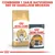 Royal Canin Norwegian Forest Cat Adult brokken en Royal Canin Intense Beauty natvoeding 85g. Tekst: Combineer 1 zakje natvoeding met de dagelijkse brokken.