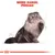 Royal Canin Persian Adult Royal Canin Persian Adult