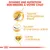 Donnez une nutrition sur-mesure à votre chat : apport énergétique élevé, soutien d’une peau saine, santé cardiaque. Texte et icônes illustrant chaque bénéfice.
