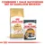 Royal Canin Sphynx Adult kattenbrokken en Royal Canin Care Intense Beauty natvoeding 85g. Tekst: Combineer 1 zakje natvoeding met de dagelijkse brokken.