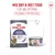 Royal Canin Appetite Control Care AirLift™ Mousse