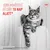 Royal Canin Digestive Care AirLift Mousse