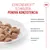 Royal Canin Digestive Care AirLift Mousse Royal Canin Digestive Care AirLift Mousse