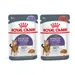 Lot mixte 24 x 85 g Royal Canin en gelée et en sauce Appetite Control Care en sauce et en gelée