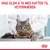 Royal Canin Digestive Care