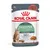 Plic hrană umedă pentru pisici Royal Canin Digestive Care 85 g, text vizibil: 'Helps support healthy digestion', 'over 95% healthy stool quality in 10 days', felii subțiri în sos, imagine pisică și hrană.