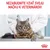NEZABUDNITE VZIAŤ SVOJU MAČKU K VETERINÁROVI – text na obrázku s mačkou u veterinára, v pravom dolnom rohu značka Royal Canin.