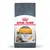 Royal Canin Hair & Skin Care torrfoder för katt, text: över 90 % av ägare observerade förbättrad hud och pälskvalitet efter 3 veckor. Bild på långhårig katt.
