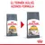 Royal Canin Hair & Skin macskaeledel régi és új csomagolása, felül: Új termék külső, azonos formula. Mindkét csomagon látható a márkanév és a terméknév.