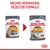 Royal Canin kattenvoer 85g: oude verpakking 'Intense Beauty', nieuwe verpakking 'Hair & Skin'. Tekst bovenaan: Nieuwe verpakking, dezelfde formule.