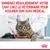 Emmenez régulièrement votre chat chez le vétérinaire pour assurer son suivi médical