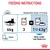 Feeding guide for 4kg cat: 3 Royal Canin pouches or 1 pouch plus 43g dry food daily. Metabolisable energy: 713 kcal/kg. Water recommended. For Royal Canin Light Weight Care.