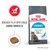 ROYAL CANIN URINARY kattefoder. Tekst: Bidrager til at opretholde sunde urinveje. Supports a healthy urinary tract in 10 days*. Billede af foderpille og kat. ROYAL CANIN URINARY kattefoder. Tekst: Bidrager til at opretholde sunde urinveje. Supports a healthy urinary tract in 10 days*. Billede af foderpille og kat.