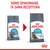 Nowe opakowanie karmy Royal Canin Care Urinary dla kotów, ta sama receptura. Widoczne dwa różne opakowania produktu z kotem i logo Royal Canin.