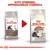 Royal Canin Ageing 12+ kattmat, bild på gammal och ny förpackning. Text: Nytt utseende, uppgraderad formula. Synlig kattbild och produktnamn på båda påsarna.