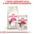 Royal Canin Aroma Exigent száraztáp és Royal Canin Instinctive 85 g nedves eledel macskáknak. Felirat: 1 tasak tartalmát adja a napi tápszemcse-adaghoz.