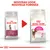 Comparaison de deux paquets Royal Canin pour chats difficiles : ancien emballage Exigent 33 à gauche, nouveau look et formule Aroma Exigent à droite. Texte en haut : Nouveau look, nouvelle formule.